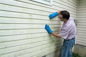 Affordable Siding Repair and Maintenance Services in Mikes, TX